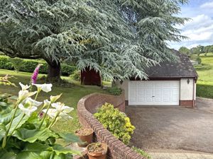 Photo 37- click for photo gallery